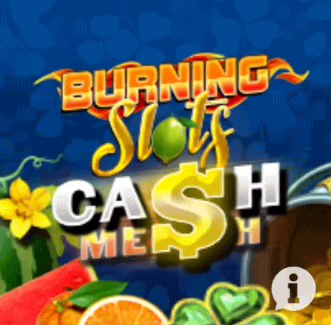 Play Burning Slots in Boomingslots Casino